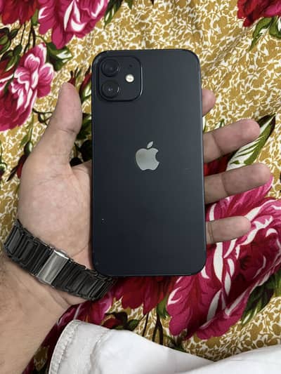 Iphone 12
