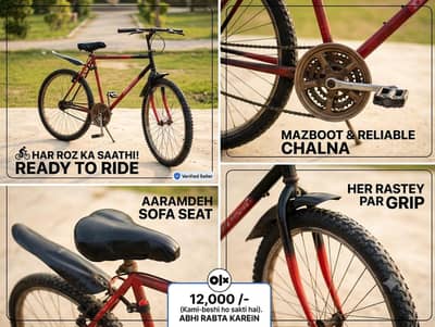 PHOENIX Bicycle Size 26