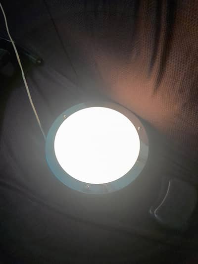 room light