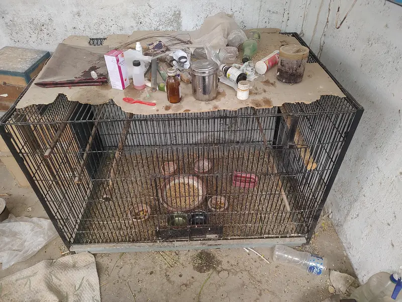 bird cage for sale — photo 2