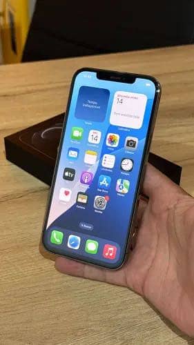 Apple iPhone 12 Pro Max