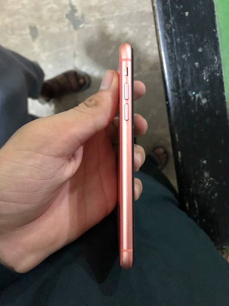 iPhone XR 1