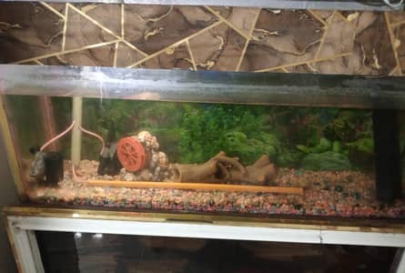 Aquarium