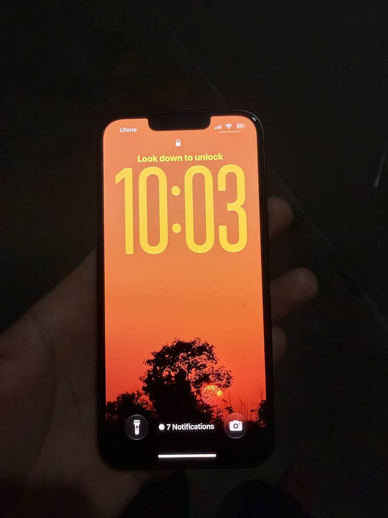 Apple iPhone 13 0
