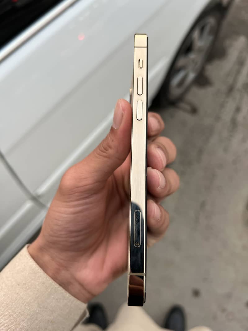 Apple iPhone 12 Pro 6