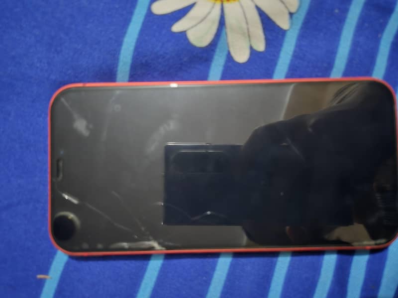 Apple iPhone 12 2