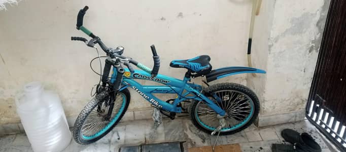 20 inch bicycle