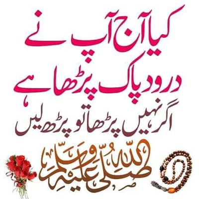 hafiz shaib
