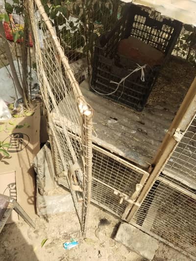 2 Portion Chicken Cage / Murghi Ka Pinjra – Used