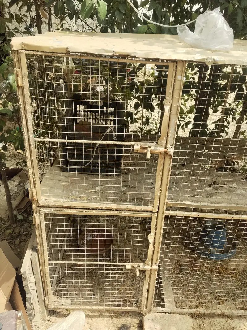 2 Portion Chicken Cage / Murghi Ka Pinjra – Used — photo 4