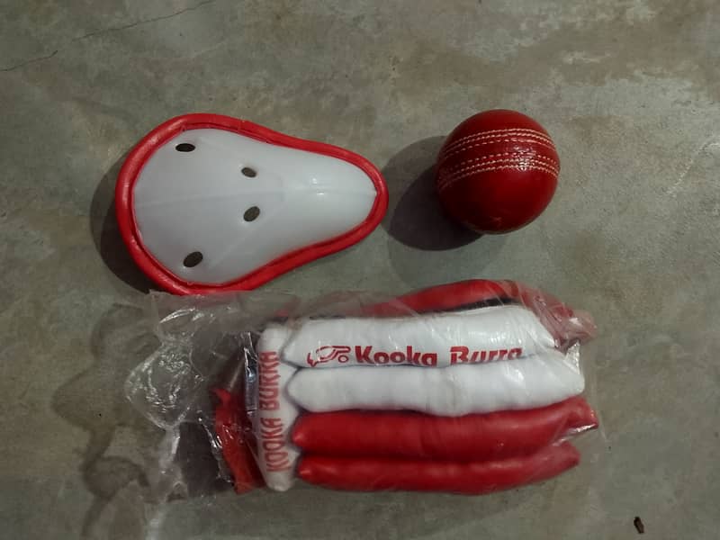 Cricket kit 1