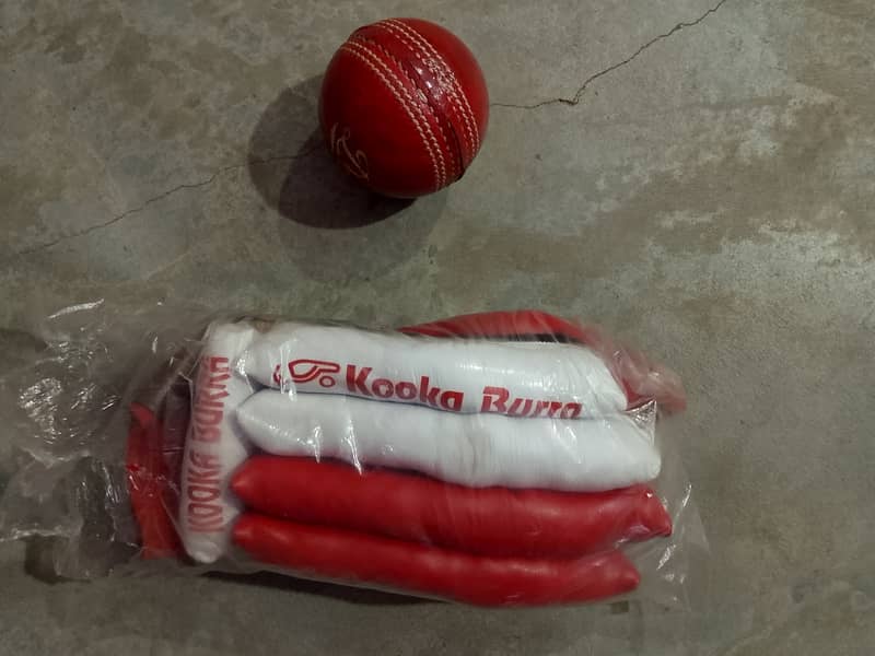 Cricket kit 2