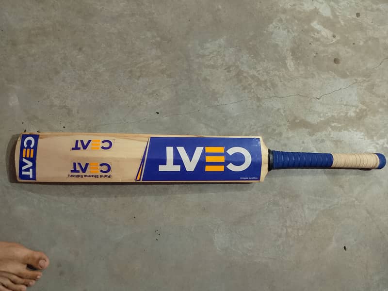 Cricket kit 4