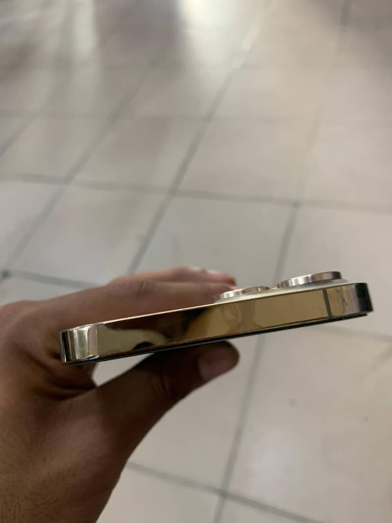 Apple iPhone 13 Pro Max 1