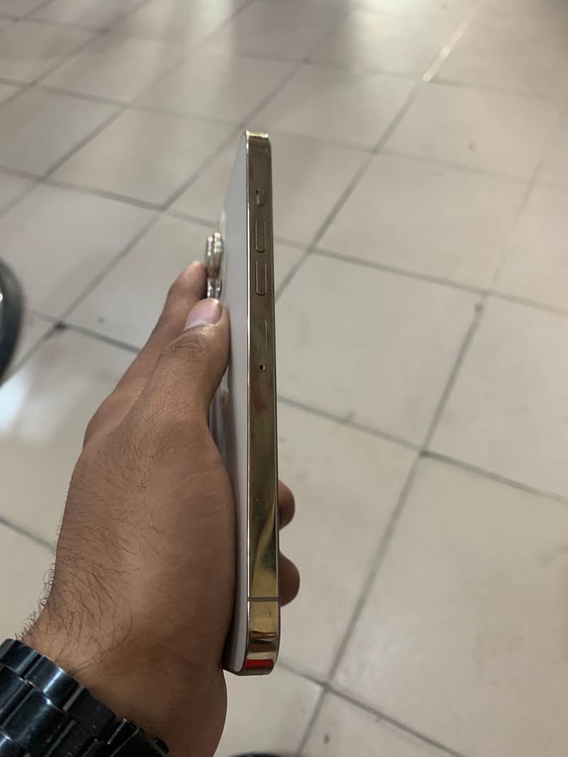 Apple iPhone 13 Pro Max 2