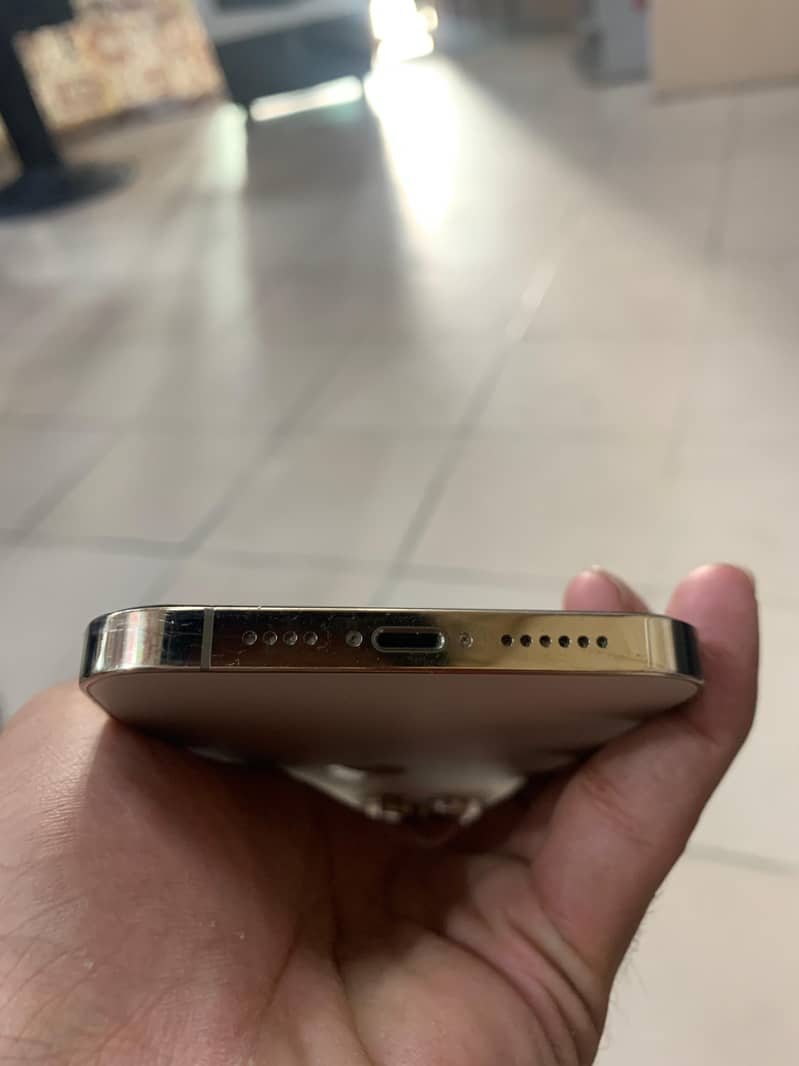 Apple iPhone 13 Pro Max 3