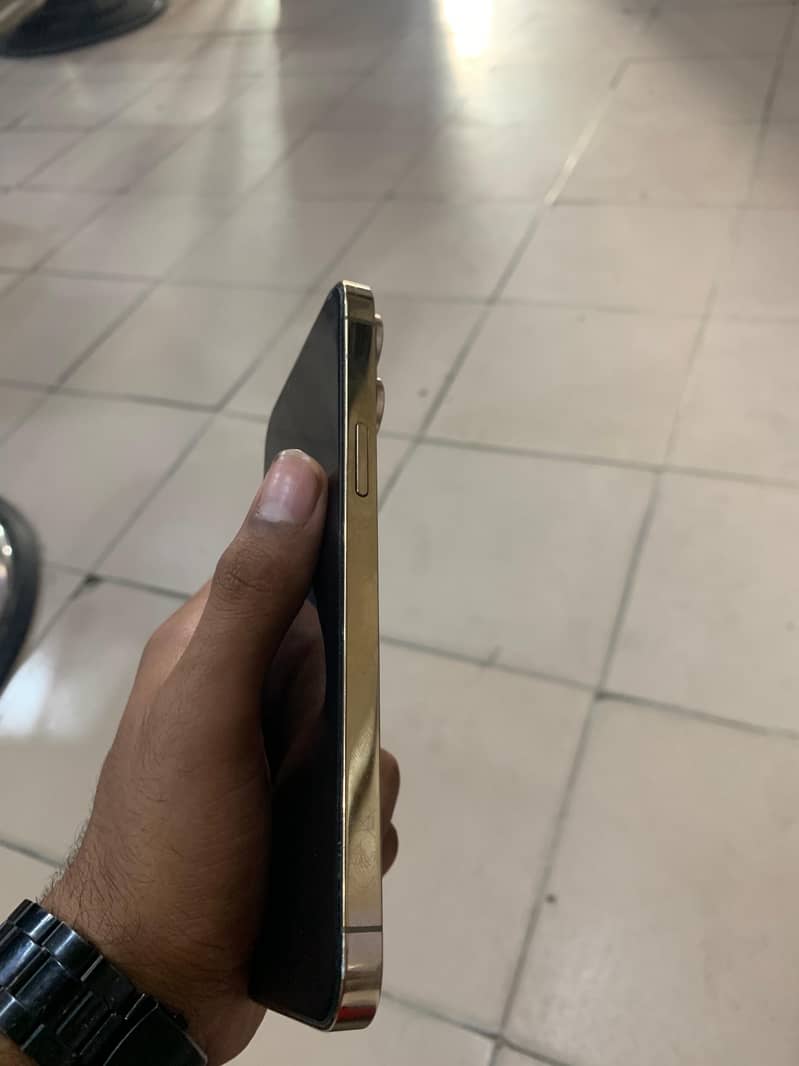 Apple iPhone 13 Pro Max 4