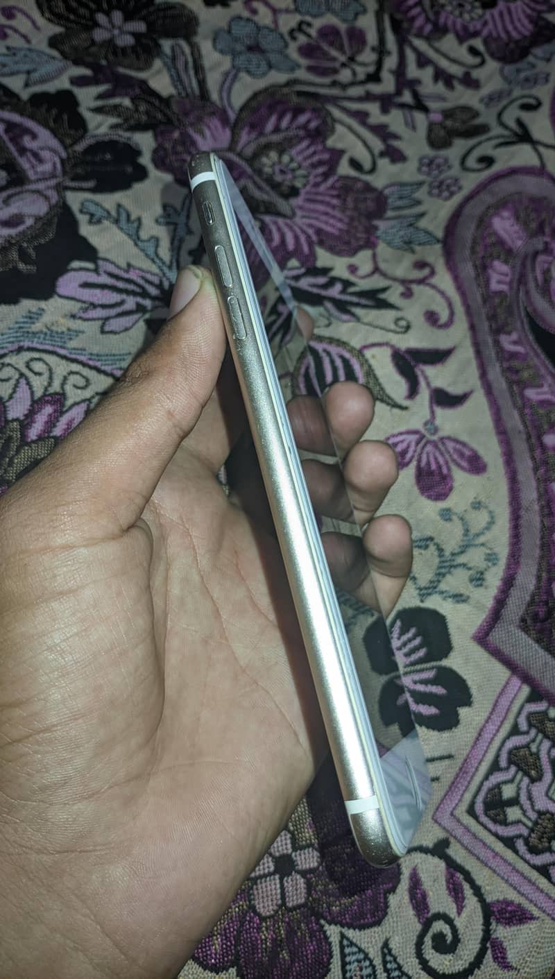 Apple iPhone 7 Plus 3