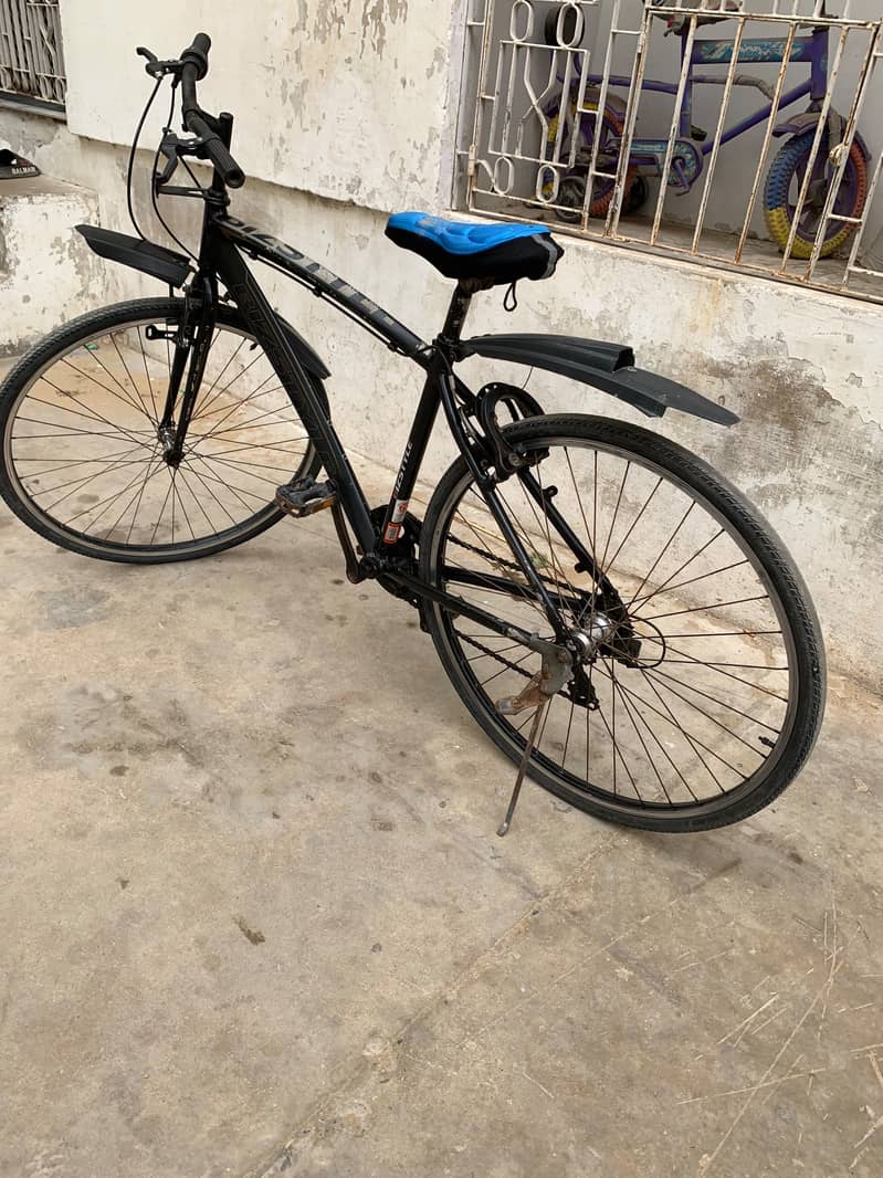 Cycle 4