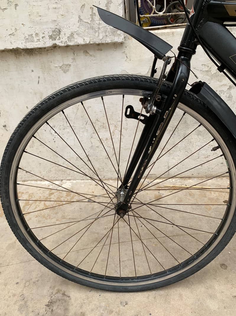 Cycle 5