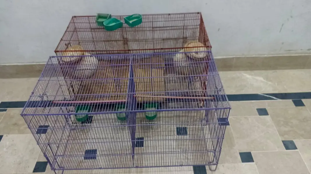 Cages — photo 2