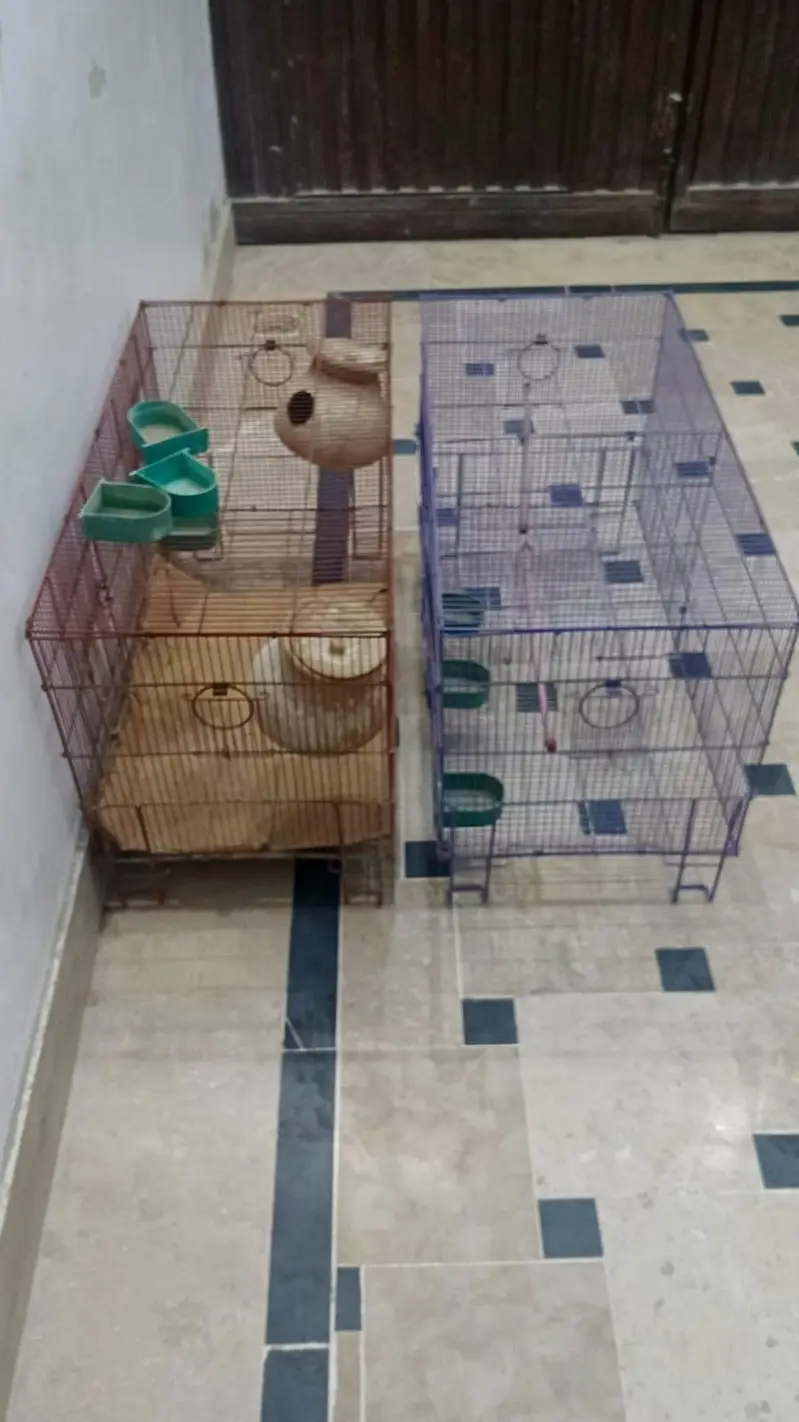 Cages — photo 3