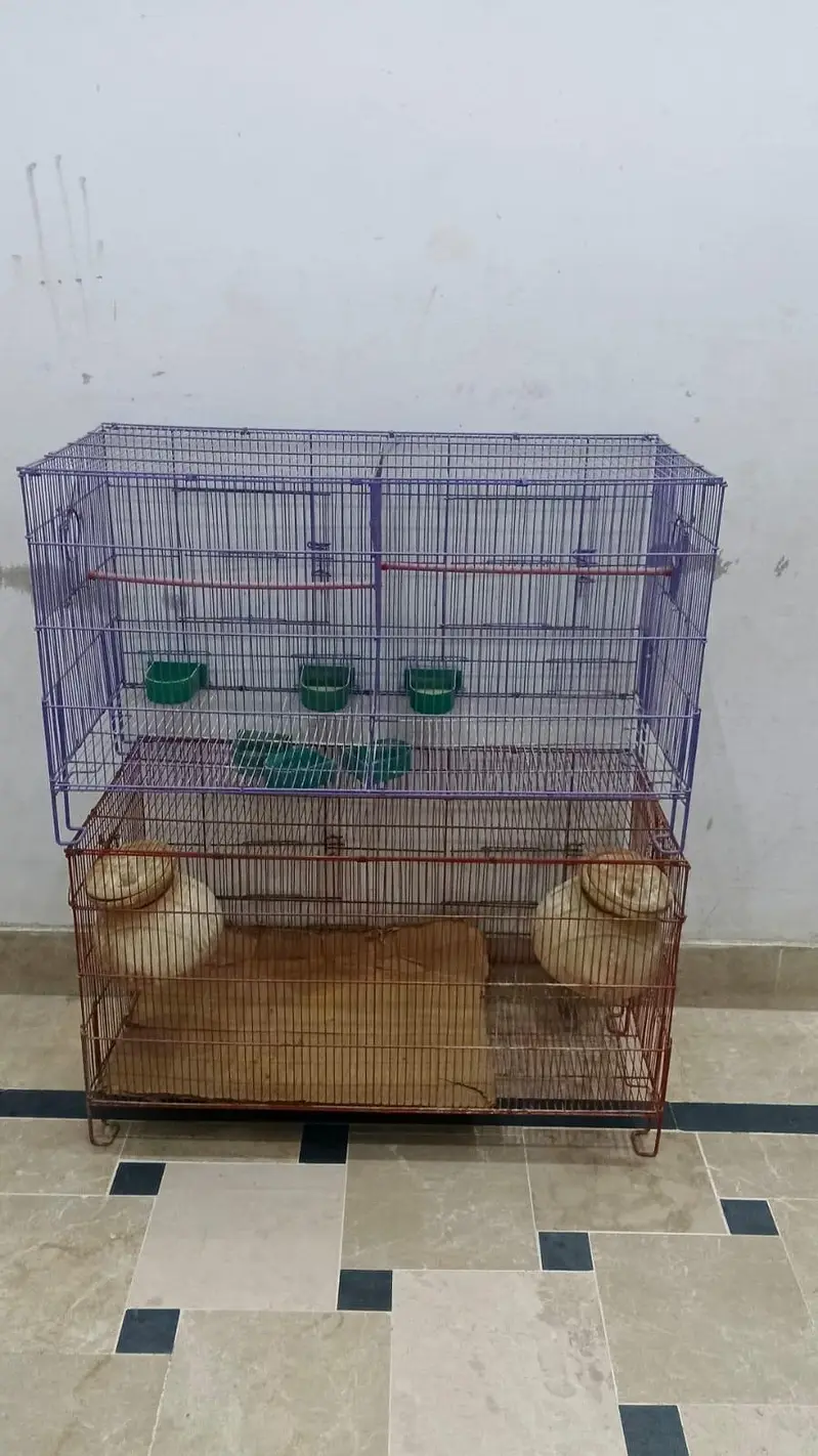 Cages — photo 4