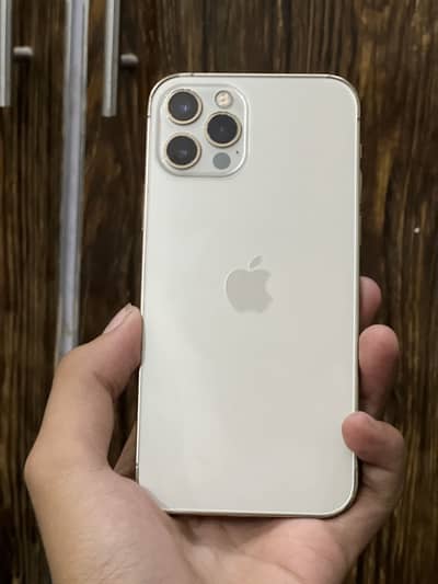 Apple iPhone 12 Pro
