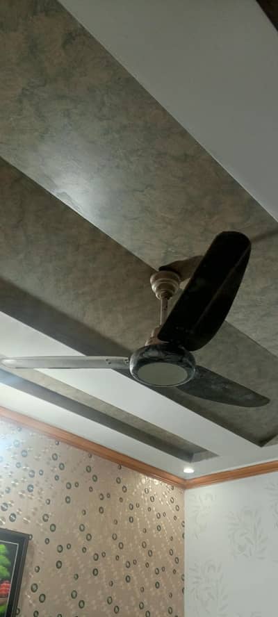 Fan for sale