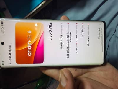 Vivo X90s 12/512