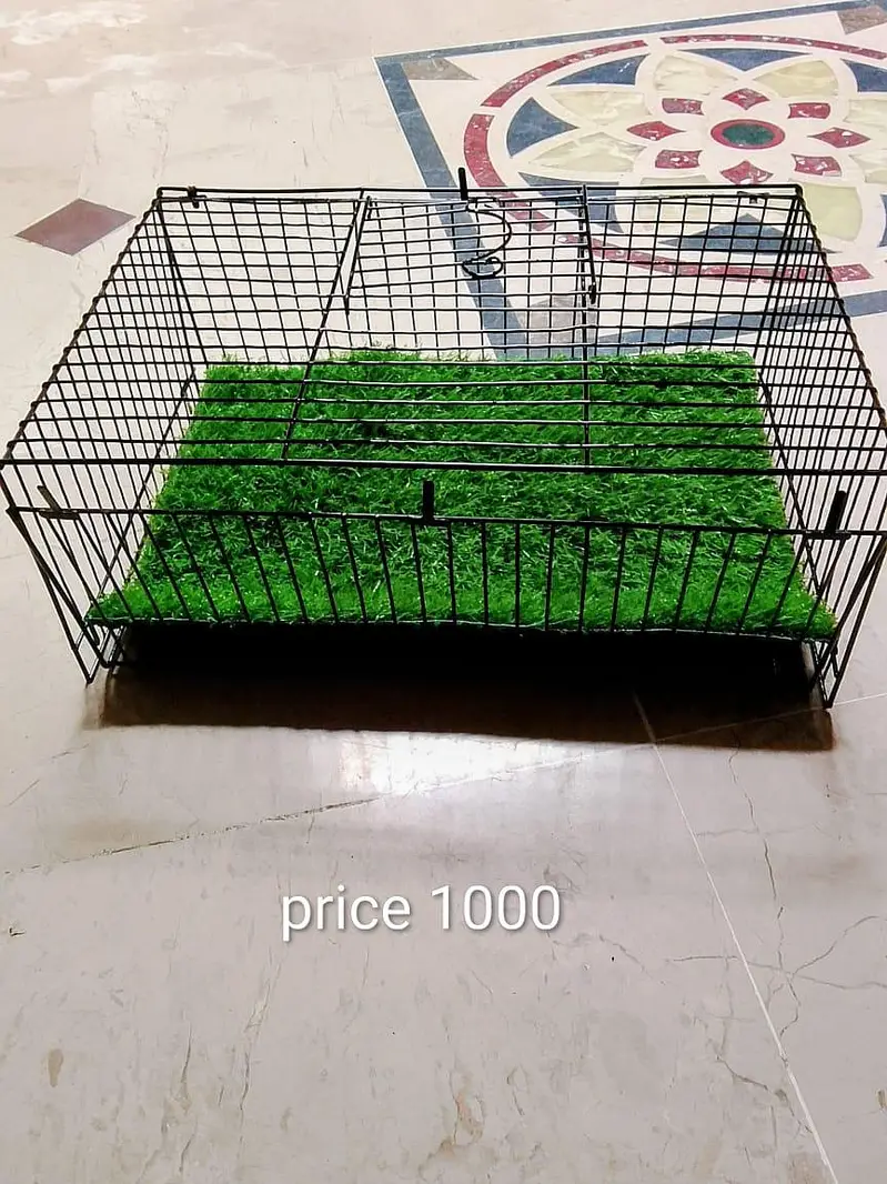 traveling cage available all size — photo 2