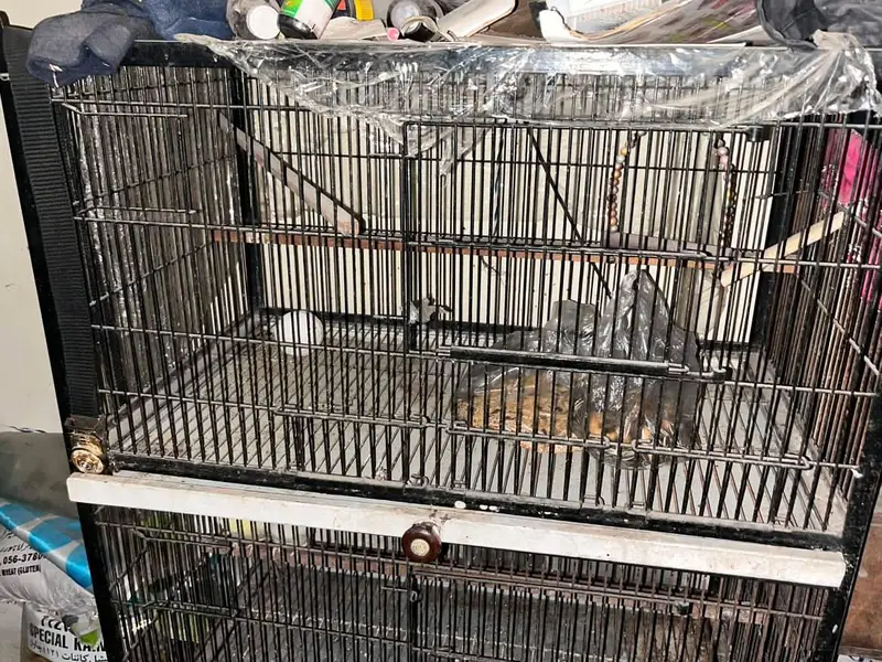 Iron Cage for birds 3 floor — photo 2