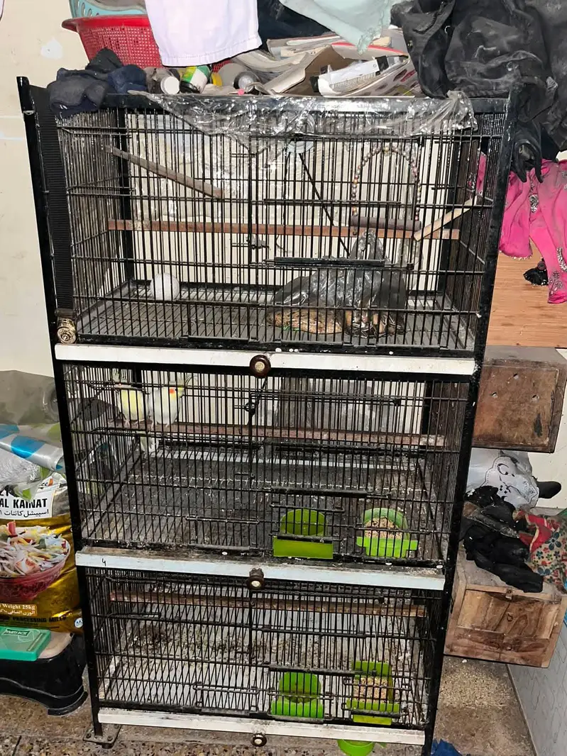 Iron Cage for birds 3 floor — photo 3