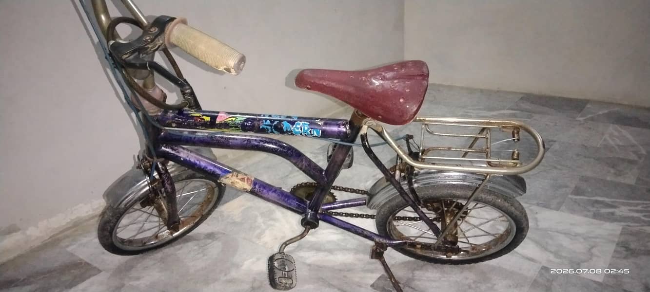 kids cycle 2