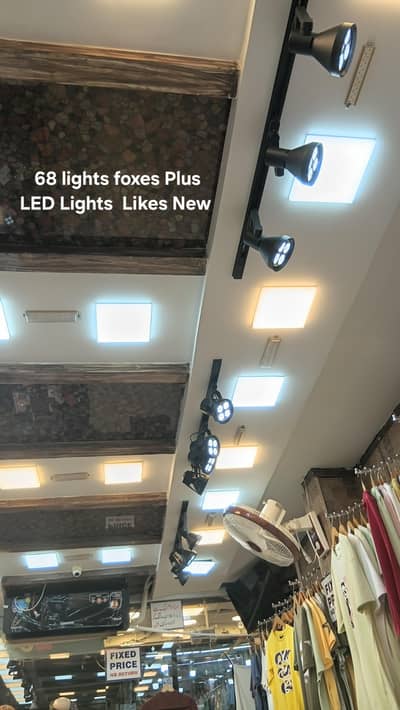 Front Glass gate + 2 Counter Glass 1 Cash Counter + foxes + LED Lights