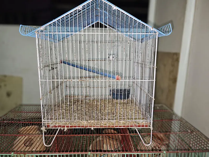 birds cages — photo 2