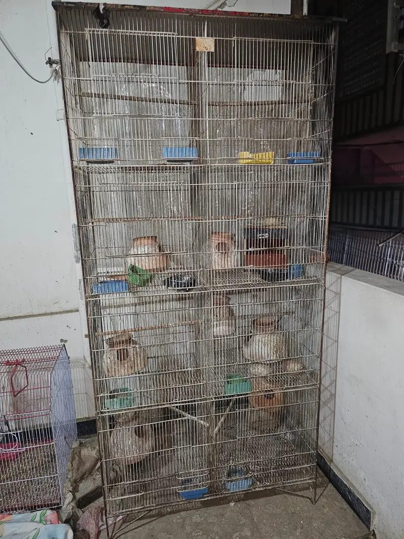 birds cages — photo 3