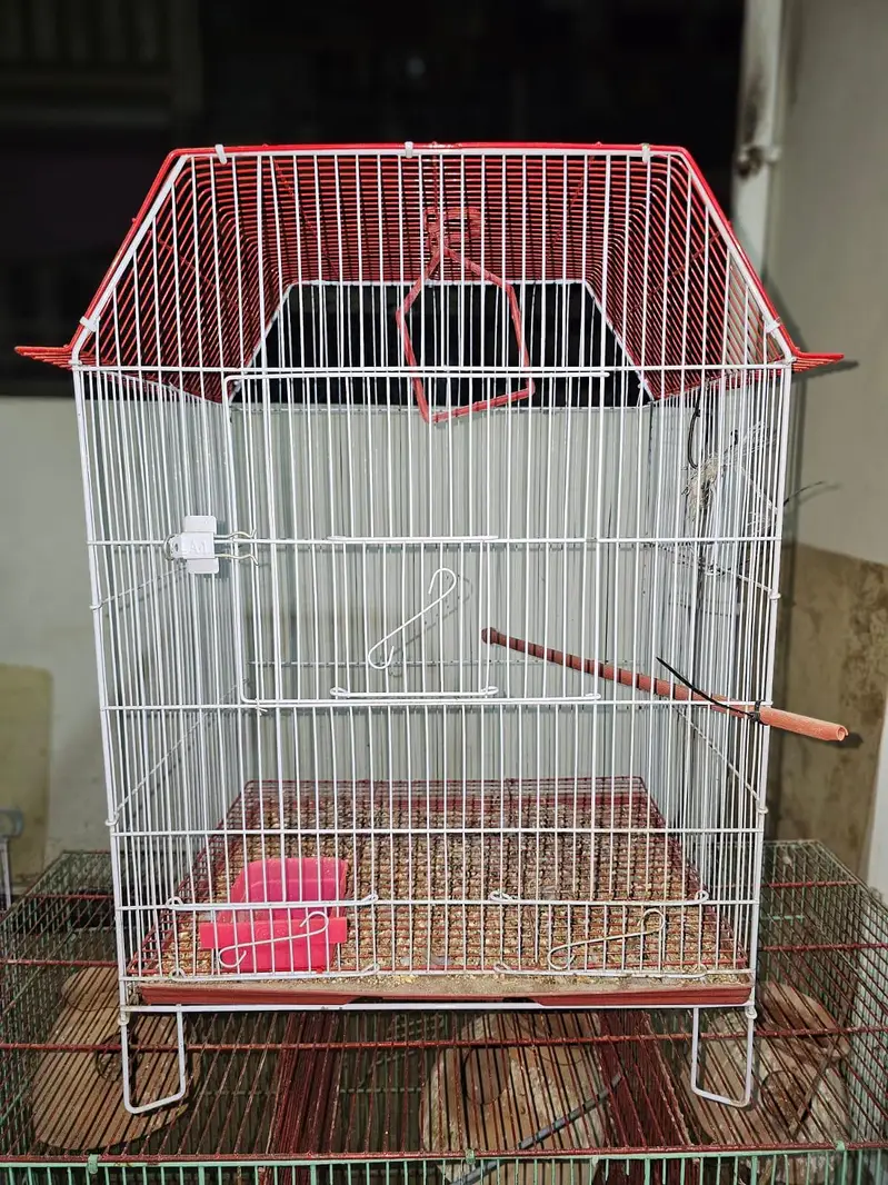 birds cages — photo 4