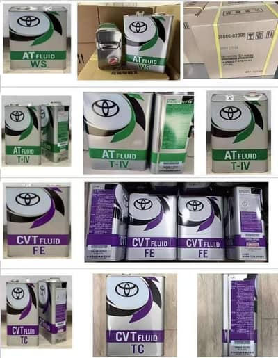 lubricant marketing sale girl required timing 11 to 8