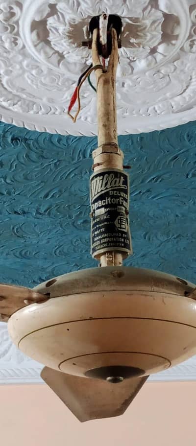 Millat ceiling fan 56"