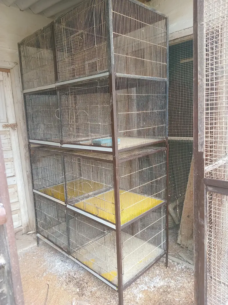 8 portion angle iron cage — photo 5
