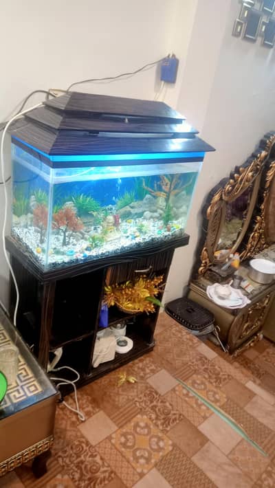 aquarium