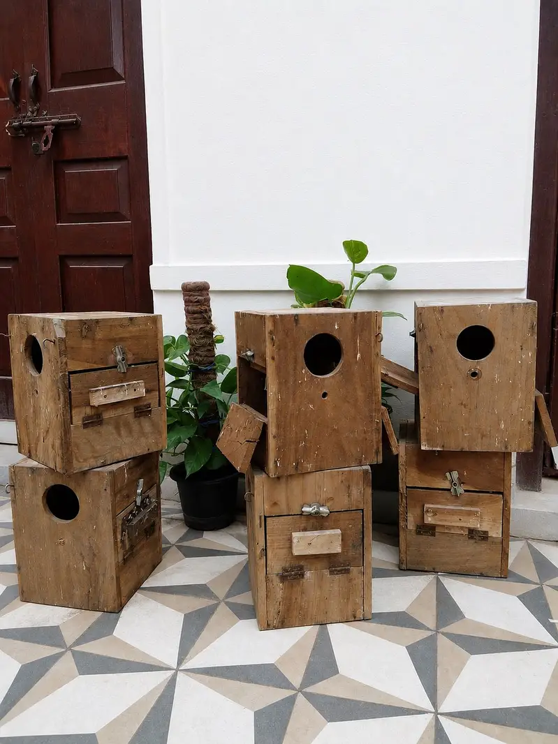 6 Wooden Bird Breeding Boxes | Keekar Wood | Double Door