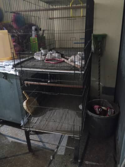 parrot cage
