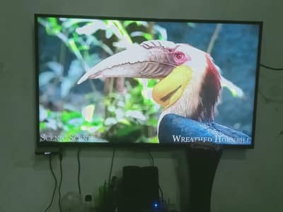A best conditions LED TV