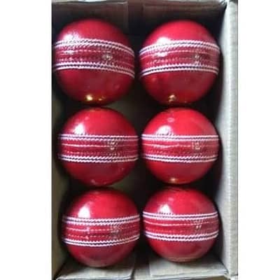 Practice cricket ball