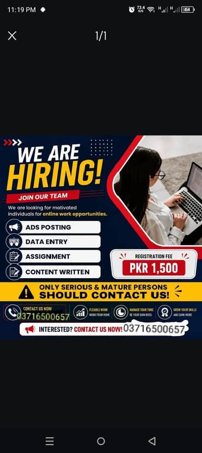 online Data entery&add posting work | Assignment &content writing jobs