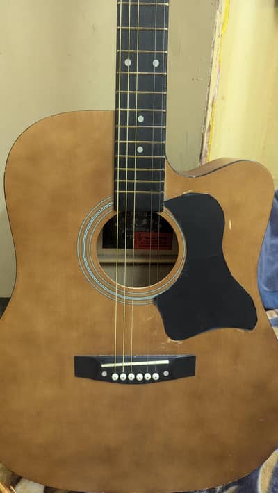 Acoustic guitar
