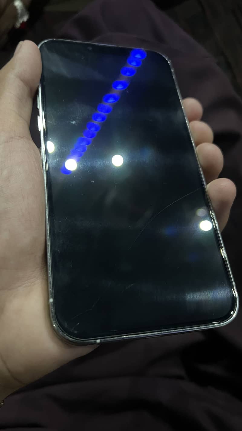 Apple iPhone 13 Pro Max 1