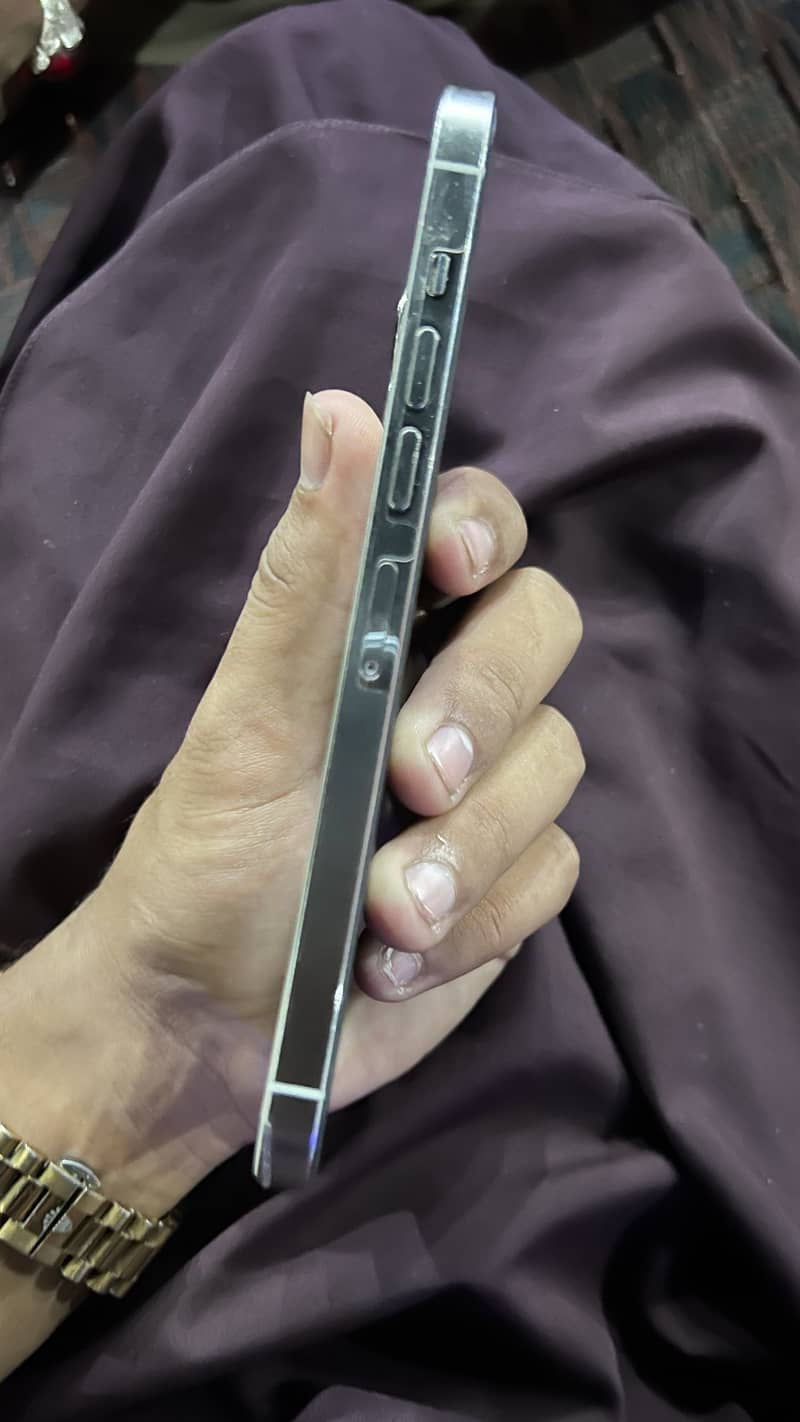 Apple iPhone 13 Pro Max 2